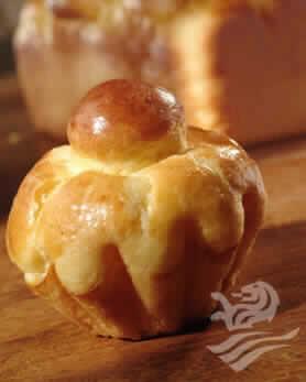 Brioche