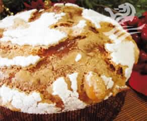 Pamix 20 - Galup - Processo Esponja